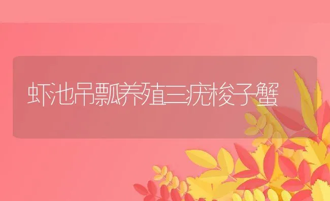 虾池吊瓢养殖三疣梭子蟹 | 动物养殖饲料