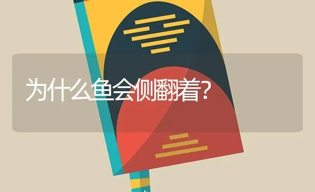 为什么鱼会侧翻着？ | 鱼类宠物饲养