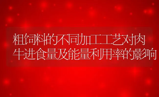 粗饲料的不同加工工艺对肉牛进食量及能量利用率的影响 | 动物养殖饲料