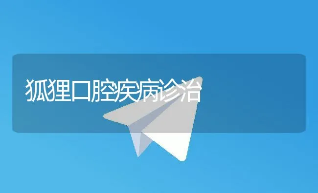 狐狸口腔疾病诊治 | 水产养殖知识