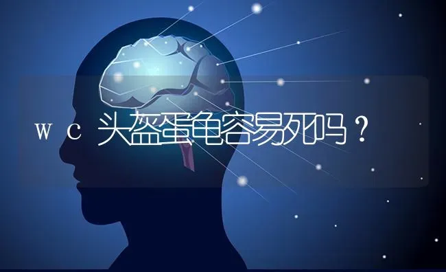 狗得了细小!不治可以熬过去吗?大神们帮帮忙？ | 动物养殖问答