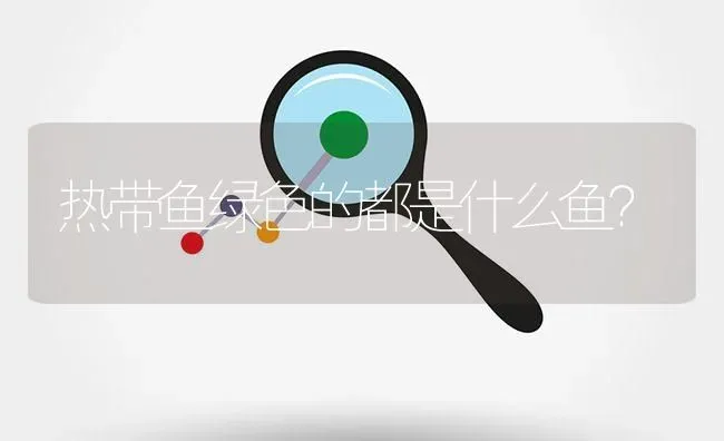 热带鱼绿色的都是什么鱼？ | 鱼类宠物饲养