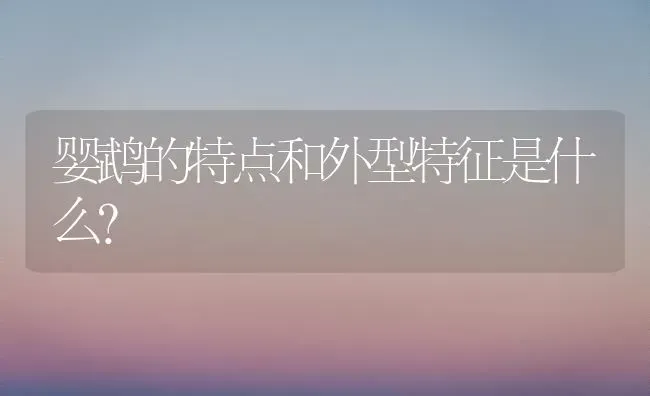 德国牧羊犬和昆明犬黑背的区别，如身高之类的还有哪个强？ | 动物养殖问答