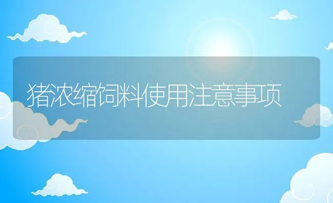 圈养羊易发四种病 | 动物养殖学堂