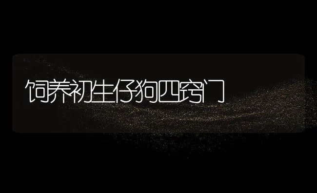 饲养初生仔狗四窍门 | 水产养殖知识