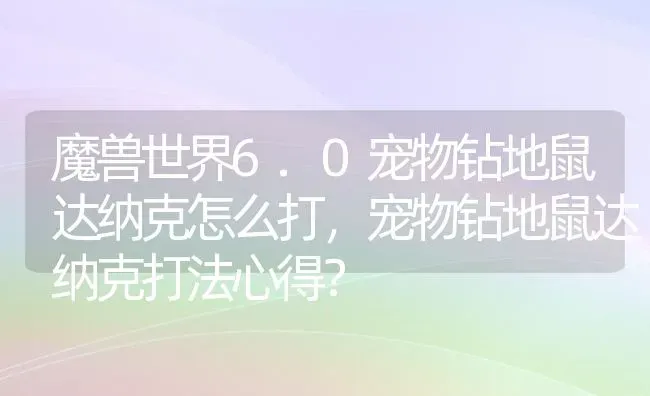 魔兽世界6.0宠物钻地鼠达纳克怎么打，宠物钻地鼠达纳克打法心得？ | 动物养殖问答