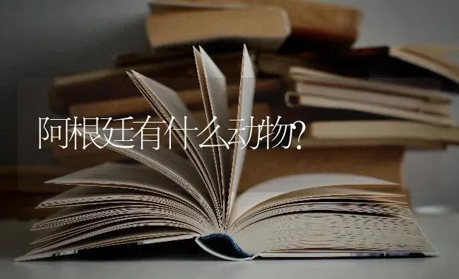 阿根廷有什么动物？ | 动物养殖问答