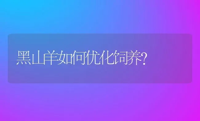 黑山羊如何优化饲养？ | 动物养殖教程