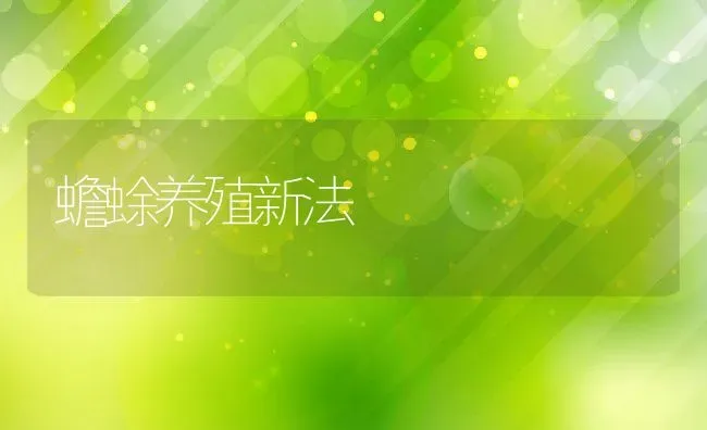 蟾蜍养殖新法 | 动物养殖教程