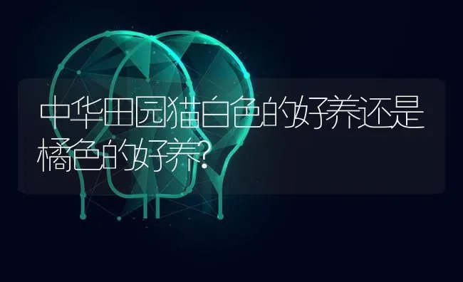 我家狗就是惊吓过度然后抽搐死的,什问是什么原因？ | 动物养殖问答