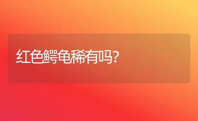 红色鳄龟稀有吗？ | 动物养殖问答