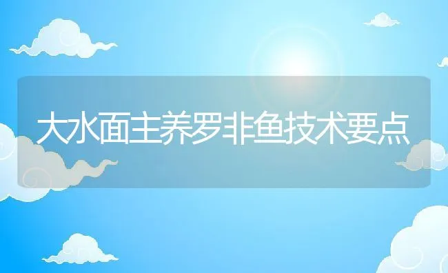 大水面主养罗非鱼技术要点 | 动物养殖饲料