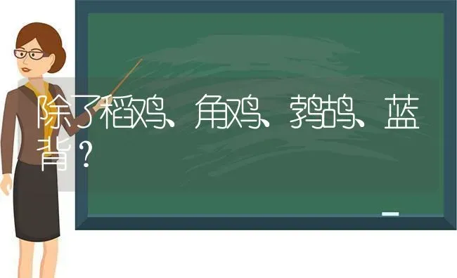 除了稻鸡、角鸡、鹁鸪、蓝背？ | 动物养殖问答