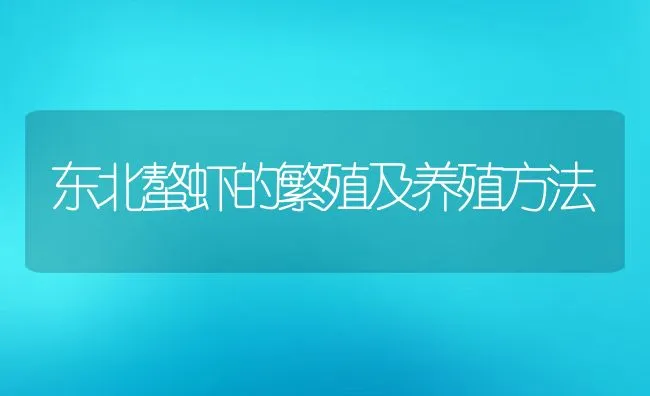 莲山黑兔的春季繁殖技术 | 动物养殖学堂