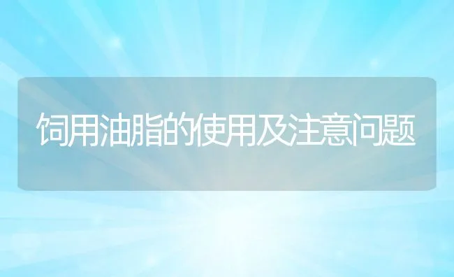 农家喂鸡三误区 | 动物养殖学堂