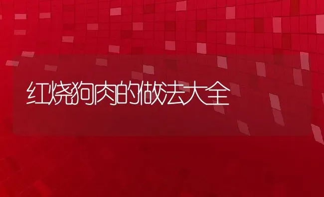 红烧狗肉的做法大全 | 动物养殖百科