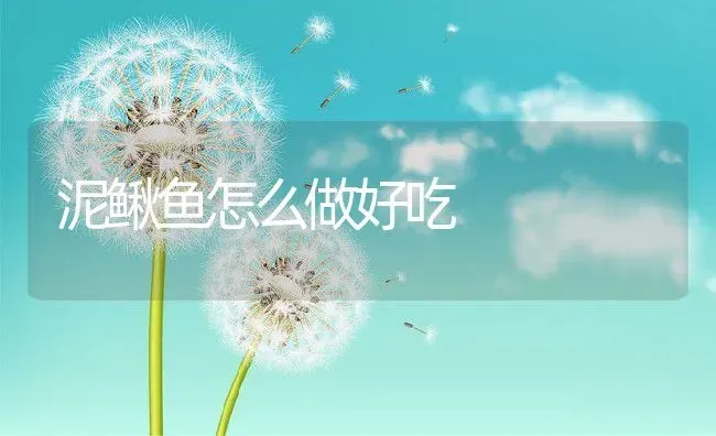 泥鳅鱼怎么做好吃 | 动物养殖百科