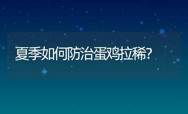 夏季如何防治蛋鸡拉稀？ | 动物养殖学堂