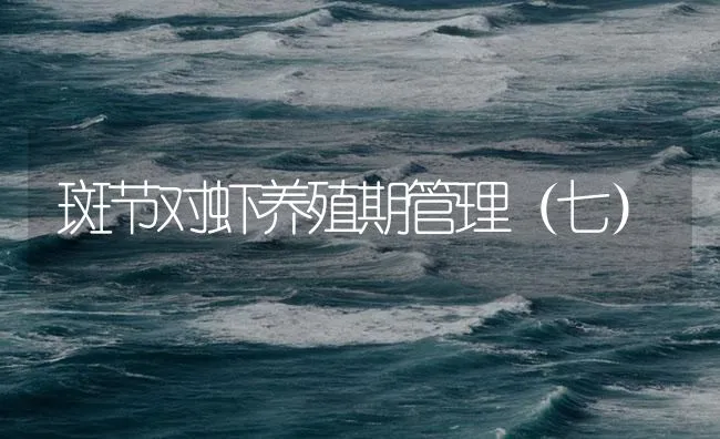 斑节对虾养殖期管理（七） | 海水养殖技术