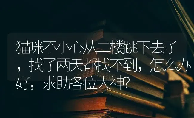 猫咪不小心从二楼跳下去了，找了两天都找不到，怎么办好，求助各位大神？ | 动物养殖问答