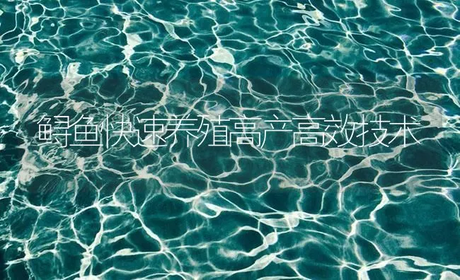 鲟鱼快速养殖高产高效技术 | 海水养殖技术