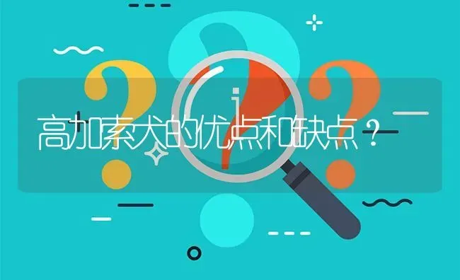 高加索犬的优点和缺点？ | 动物养殖问答