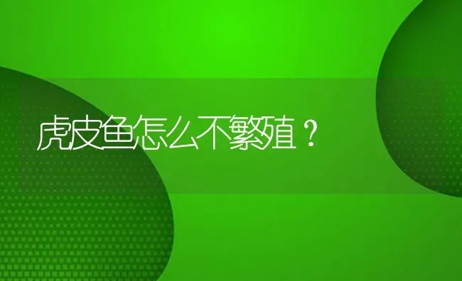 虎皮鱼怎么不繁殖？ | 鱼类宠物饲养