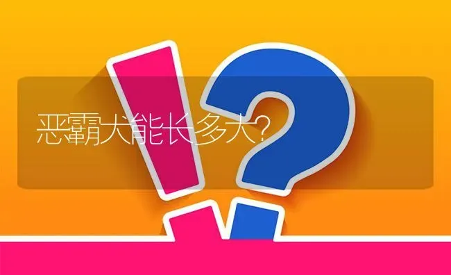 恶霸犬能长多大？ | 动物养殖问答