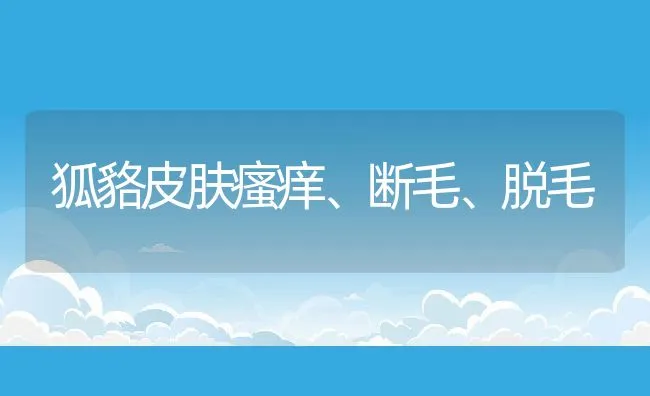 狐貉皮肤瘙痒、断毛、脱毛 | 动物养殖学堂