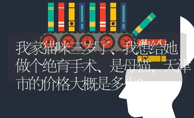 我家猫咪三岁了、我想给她做个绝育手术、是母猫、天津市的价格大概是多少？ | 动物养殖问答