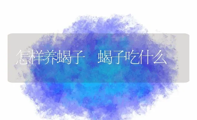 怎样养蝎子 蝎子吃什么 | 动物养殖百科