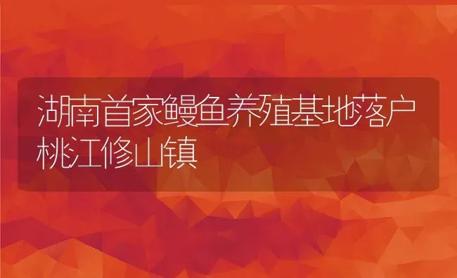 湖南首家鳗鱼养殖基地落户桃江修山镇 | 动物养殖教程