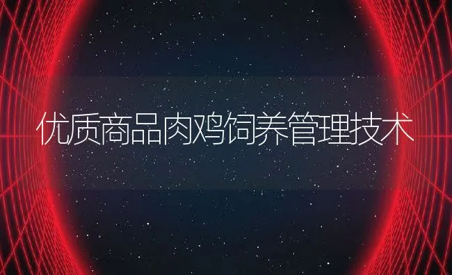 优质商品肉鸡饲养管理技术 | 动物养殖饲料