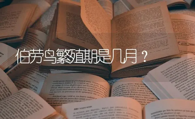 史宾格体味大怎么办？ | 动物养殖问答