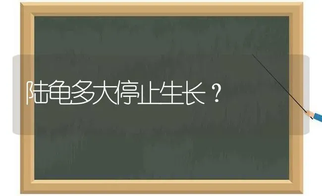 陆龟多大停止生长？ | 动物养殖问答