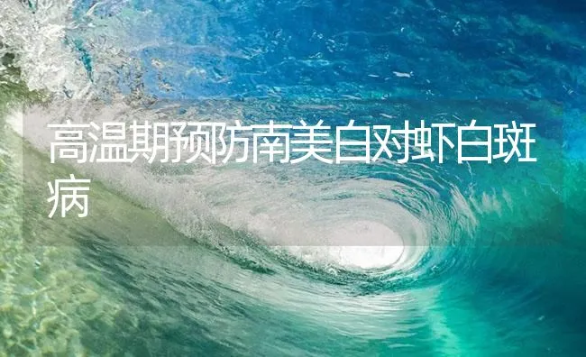 高温期预防南美白对虾白斑病 | 海水养殖技术