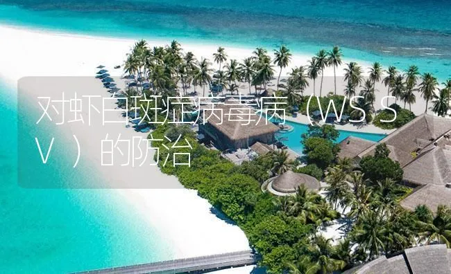 对虾白斑症病毒病（WSSV）的防治 | 海水养殖技术