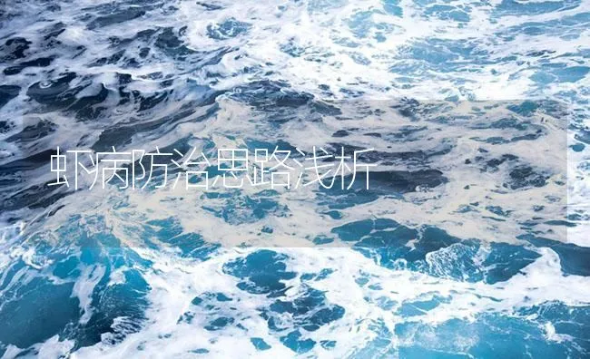 虾病防治思路浅析 | 海水养殖技术