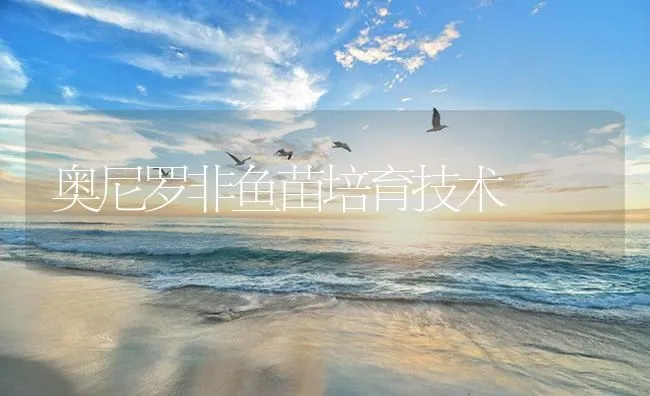 奥尼罗非鱼苗培育技术 | 海水养殖技术