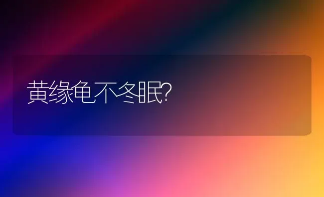 黄缘龟不冬眠？ | 动物养殖问答