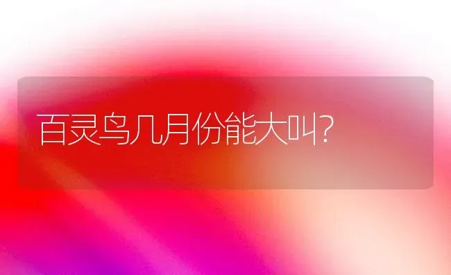 百灵鸟几月份能大叫？ | 动物养殖问答