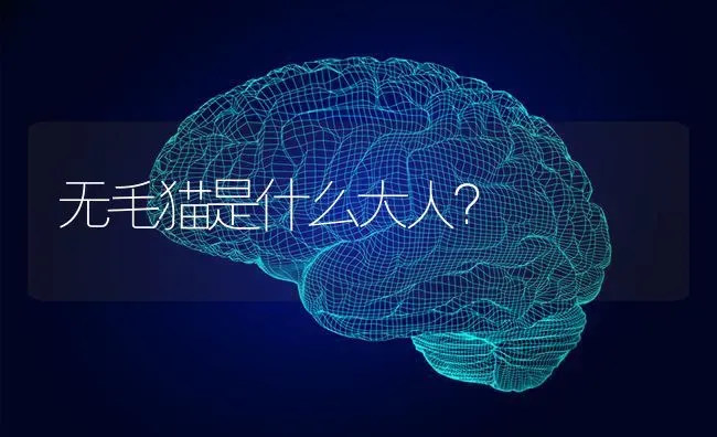 形容狗忠诚的词语？ | 动物养殖问答