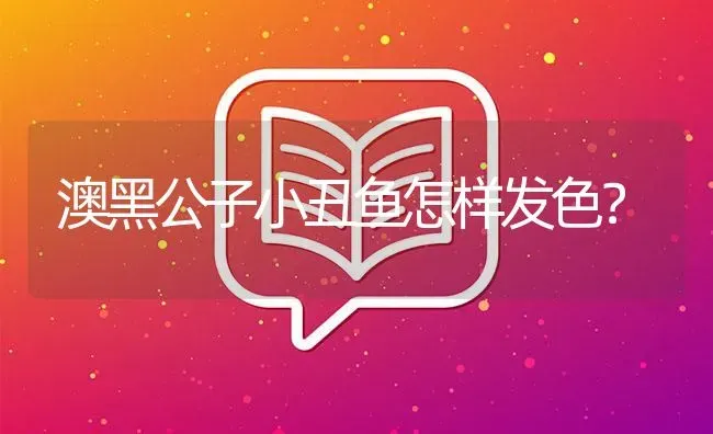 澳黑公子小丑鱼怎样发色？ | 鱼类宠物饲养