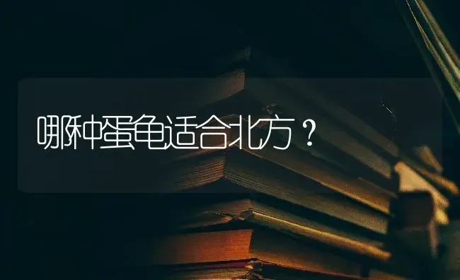 哪种蛋龟适合北方？ | 动物养殖问答