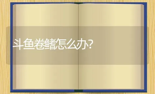 斗鱼卷鳍怎么办？ | 鱼类宠物饲养