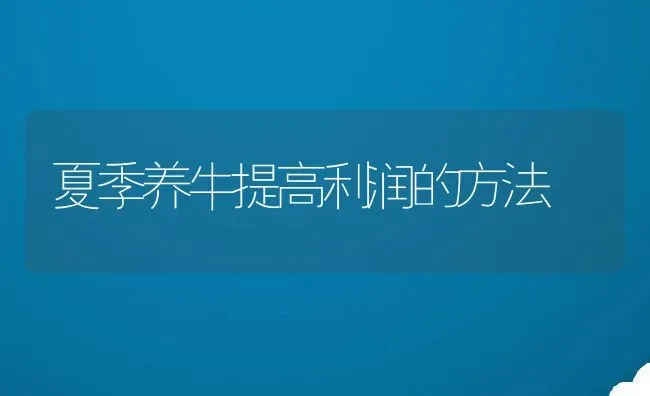 夏季养牛提高利润的方法 | 家畜养殖技术