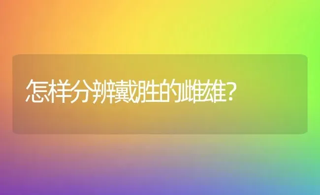 怎样分辨戴胜的雌雄？ | 动物养殖问答