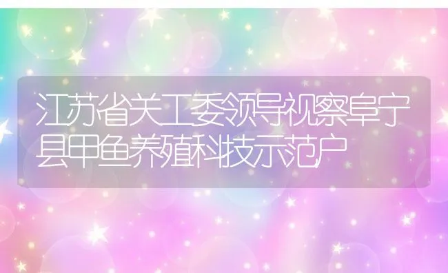 江苏省关工委领导视察阜宁县甲鱼养殖科技示范户 | 水产养殖知识