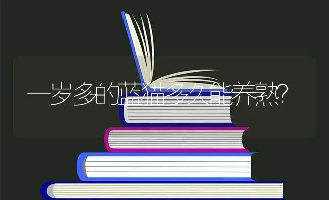 一岁多的蓝猫多久能养熟？ | 动物养殖问答