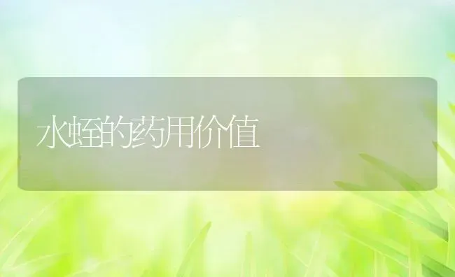 水蛭的药用价值 | 动物养殖教程